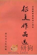 庆祝新民解放四十周年  征文作品选（1988 PDF版）