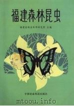 福建森林昆虫（1991 PDF版）