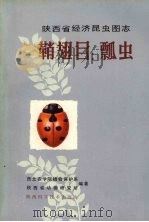 陕西省经济昆虫图志  鞘翅目：瓢虫（1985 PDF版）