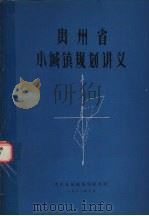 贵州省小城镇规划讲义   1983  PDF电子版封面    贵州省城镇规划研究院 