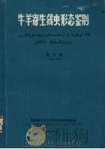 牛羊寄生线虫形态鉴别   1983  PDF电子版封面    葛平编 