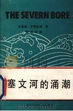 塞文河的涌潮   1989  PDF电子版封面  7561605013  （英）罗博瑟姆著；钱旭中译 