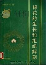 棉花的生长与组织解剖   1988  PDF电子版封面  7532300609  上海市农业科学院编著 