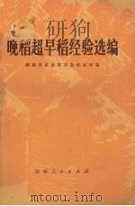 晚稻超早稻经验选编（1976 PDF版）