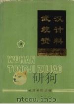 武汉统计资料  1949-1988  第4册     PDF电子版封面     