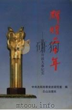 辉煌20年  沈阳改革开放大事纪实   1998  PDF电子版封面  7805666652  中共沈阳市委党史研究室编 