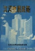 沈河发展战略   1988.03  PDF电子版封面    沈河区发展战略编委会编 