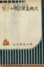 辽宁小城镇发展概况   1991.09  PDF电子版封面     