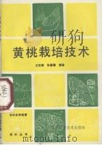 黄桃栽培技术   1990  PDF电子版封面  753641661X  王世荣，张碧德编著 