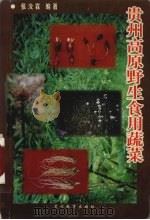 贵州高原野生食用蔬菜（1999 PDF版）