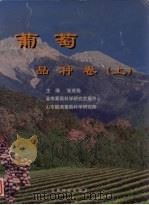 葡萄  品种卷  上   1999  PDF电子版封面  7541612324  张茂扬等主编 