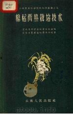棉稻两熟栽培技术（1958 PDF版）