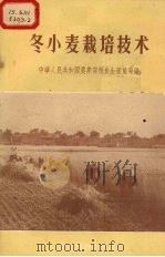 冬小麦栽培技术   1956  PDF电子版封面  16005.125  中华人民共和国农业部粮食生产总局编 