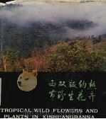 西双版纳热带野生花卉（1988 PDF版）