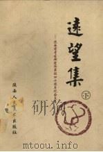 远望集：陕西省考古研究所华诞四十周年纪念文集  下（1998 PDF版）