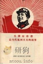 毛泽东思想是当代马列主义的顶峰     PDF电子版封面    武汉《公安联司》宣传部 
