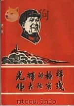 光辉的榜样  伟大的实践     PDF电子版封面    武汉新华工革命委员会政宣部 