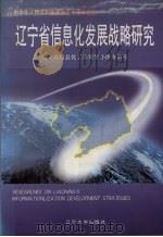 辽宁省信息化发展战略研究   1999  PDF电子版封面  7561038615  辽宁省信息化工作领导小组办公室编 