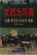 大西北写真   1998  PDF电子版封面  7806054901  王蒙等著；杨闻宇编选 