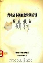 湖北省乡镇企业发展区划综合报告（1994 PDF版）