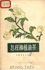 怎样种植油茶（1956 PDF版）