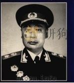 纪念陈毅   1991  PDF电子版封面  7501006083  陈小鲁编 