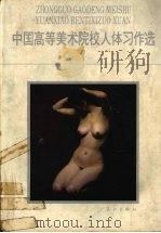 中国高等美术院校人体习作选（1986 PDF版）