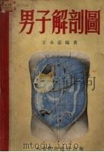 男子解剖图   1952  PDF电子版封面    王永豪编著 