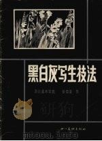 黑白灰写生技法   1986  PDF电子版封面  8373·211  张仰竣作 