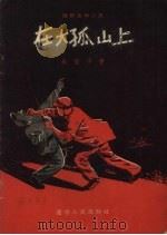 在大孤山上  防奸反特小说   1955  PDF电子版封面    朱赞平著；李春生，陈永智绘图 