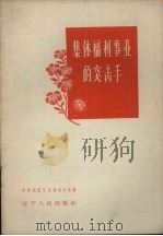 集体福利事业的突击手   1959  PDF电子版封面  T7090·286  共青团辽宁省委员会办公室编 