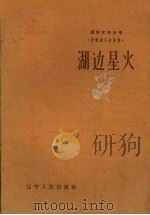 湖边星火  抗联战斗故事集（1955 PDF版）