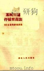 茶树短穗扦插育苗法   1959  PDF电子版封面  T16106·191  湖北省农业厅特产处编 