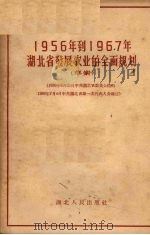 1956年到1967年湖北省发展农业的全面规划  草案   1956  PDF电子版封面  T4106·40  中国共产党湖北省第一次代表大会通过 