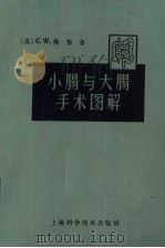 小肠与大肠手术图解   1958  PDF电子版封面  14119·1009  （美）C.W.梅郁著；龚谦仁译 