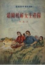赵刚和妇女生产队   1954  PDF电子版封面    孙达著；赫凤绘图 