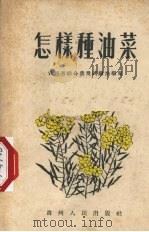 怎样种油菜   1955  PDF电子版封面    贵州省综合农业试验站编著 