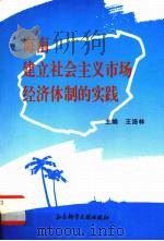 海南建立社会主义市场经济体制的实践   1997  PDF电子版封面  7800508951  王洛林主编 