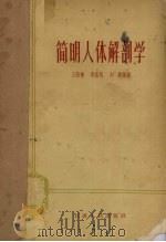简明人体解剖学   1965  PDF电子版封面  14100·227  王荫槐等编著 