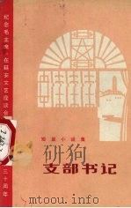 支部书记  短篇小说集   1972  PDF电子版封面  10·099·53  山东省纪念毛主席《在延安文艺座谈会上的讲话》发表三十周年办公 