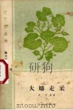 大婶走亲  短篇小说   1959  PDF电子版封面  1020·1331  舒平等著 