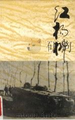 红杨柳   1904  PDF电子版封面    王泽九，杨大斌著 