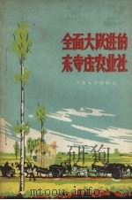 全面大跃进的东寺庄农业社   1958  PDF电子版封面  3105·48   