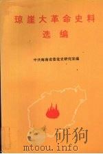 琼崖大革命史料选编（1994 PDF版）