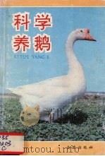 科学养鹅（1992 PDF版）