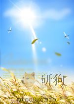 2008年中国国家安全概览（ PDF版）