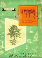 培育作物新品种：交口少年科学院种植活动介绍   1961  PDF电子版封面  R10024·2700  交口少年科学院，少年儿童出版社编著 