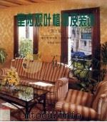 室内观叶植物及装饰  第2版（1999 PDF版）