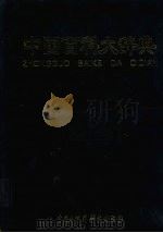 中国百科大辞典  4   1999  PDF电子版封面  7500062125  （王伯恭主编 
