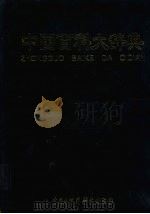 中国百科大辞典  6   1999  PDF电子版封面  7500062125  （王伯恭主编 